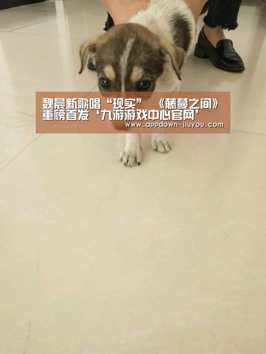 九游官网下载